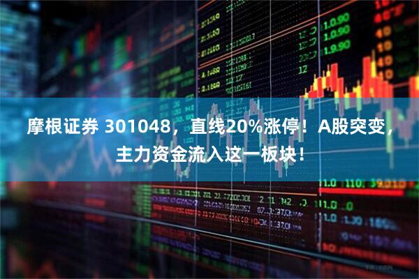 摩根证券 301048，直线20%涨停！A股突变，主力资金流入这一板块！